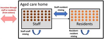 COVID-19 outbreaks in residential aged care facilities: an agent-based modeling study